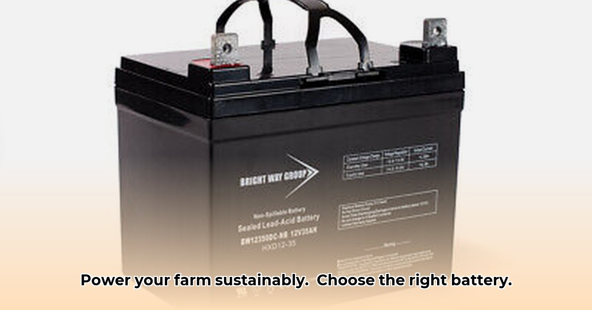 12-volt-garden-tractor-battery